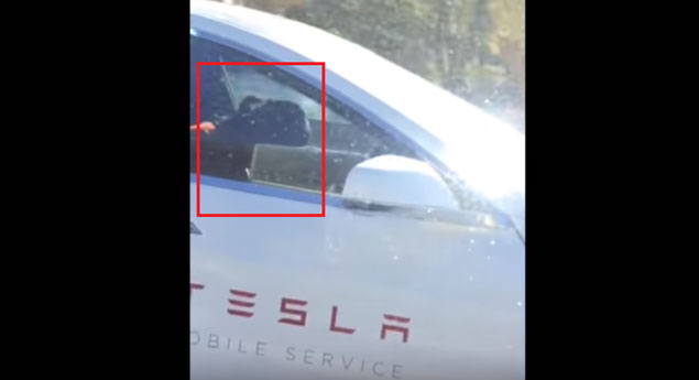 Empregado da Tesla apanhado a dormir ao volante