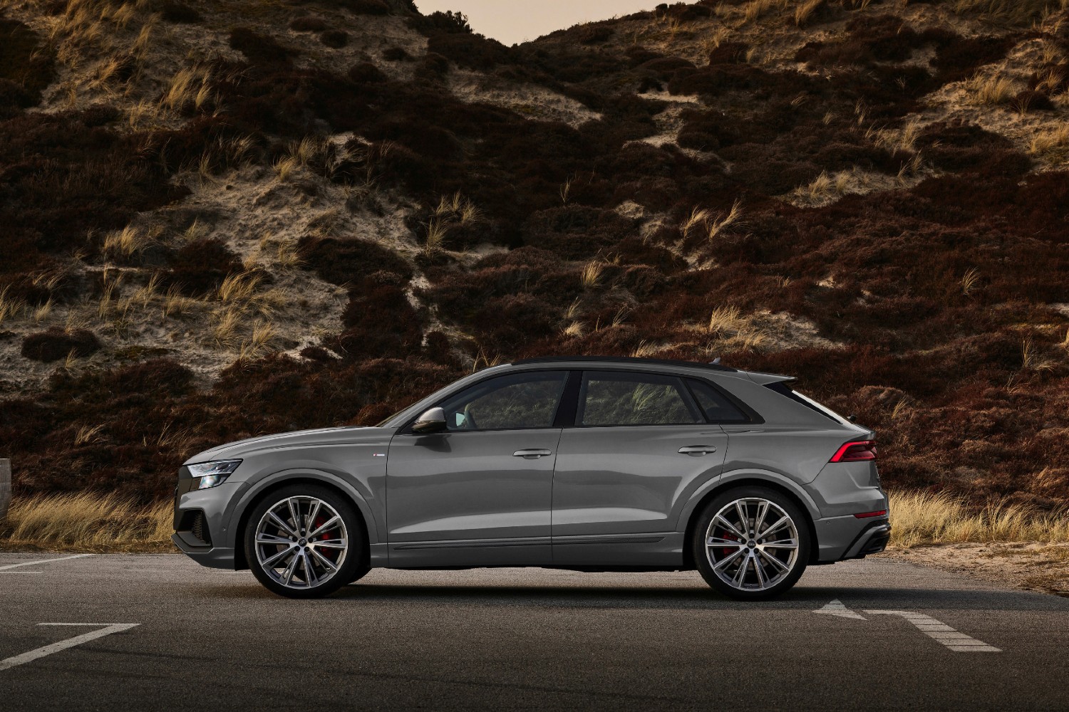 Audi Q8 Competition Plus